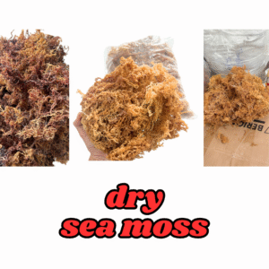 Dry Sea Moss Wholesale – Gold & Purple Sea Moss Bulk from Vietnam