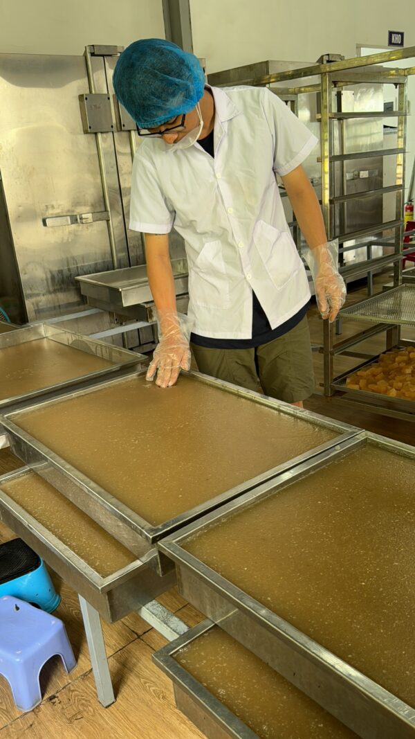 Sea Moss Gummies Wholesale - Image 7